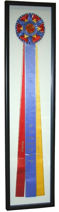 Equine Champion Ribbon